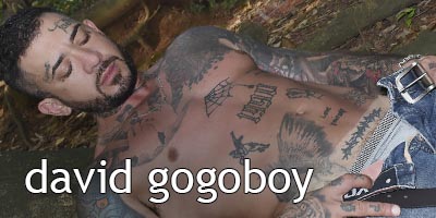 David Gogo Boy
