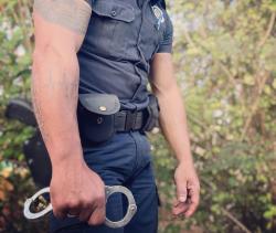 Foto 132 da galeria fardados