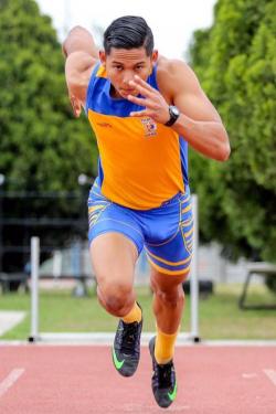 Foto 255 da galeria pacotes