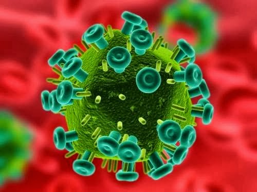 Imagem de um vrus do HIV.