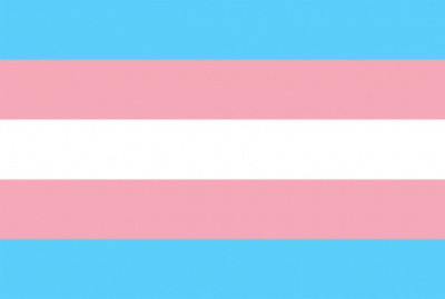 Bandeira do movimento transg�nero