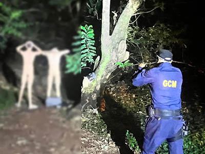 Guarda Civil Metropolitana de Goiânia prende homens que faziam sexo em matagal