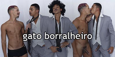 O gato borralheiro
