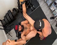 Companheiros de treino